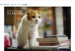 そこまるブログ 養老孟司 2.jpg