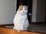 まる 養老孟司.jpg