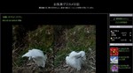 お気楽デジカメ日記.jpg