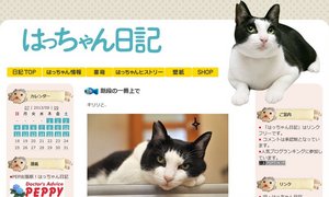 はっちゃん日記